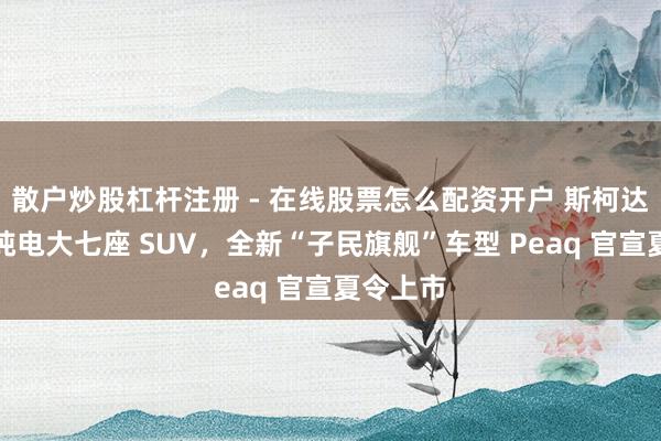 散户炒股杠杆注册 - 在线股票怎么配资开户 斯柯达也要造纯电大七座 SUV，全新“子民旗舰”车型 Peaq 官宣夏令上市