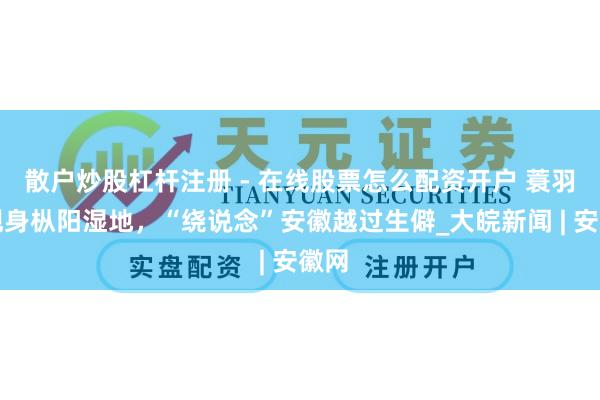 散户炒股杠杆注册 - 在线股票怎么配资开户 蓑羽鹤现身枞阳湿地，“绕说念”安徽越过生僻_大皖新闻 | 安徽网